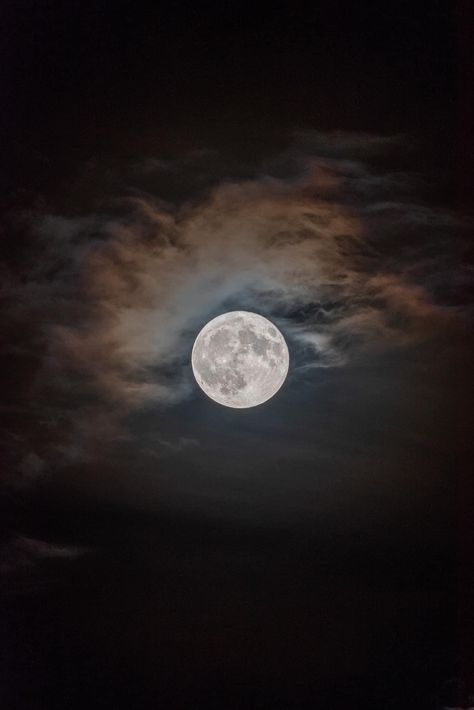 The Sturgeon Blue Supermoon 08/19/24 📷:M. Ginosyan Photography Blue Supermoon, Scary Dogs, The Moon Is Beautiful, Look At The Moon, Planets Art, Super Moon, Pink Moon, Moon Lovers, Moon Magic