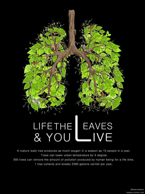 "Start a new Oxygen Plant. Plant a tree" Plant A Tree Poster Design, Save Plants Poster, Save The Trees Poster, Save Trees Poster Creative, Tree Planting Poster, Deforestation Poster, Oxygen Plant, Environment Quotes, Drive Poster