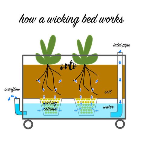 Wicking Garden Bed, Watering Raised Garden Beds, Diy Self Watering Planter, Box Planters, Garden Board, Self Watering Containers, Veggie Gardens, Food Simple, Herb Wall