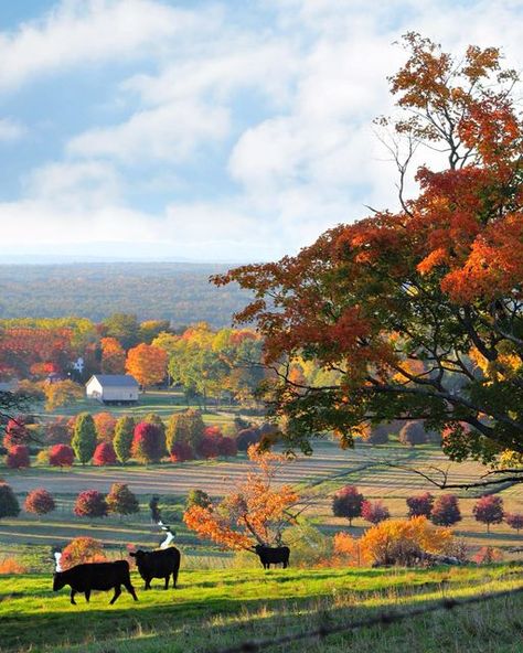 Autumn On The Farm, Western Massachusetts Aesthetic, Autumn Farm Aesthetic, Massachusetts Countryside, Autumn Massachusetts, Massachusetts Nature, Fall Massachusetts, Autumn Town, Marlborough Massachusetts