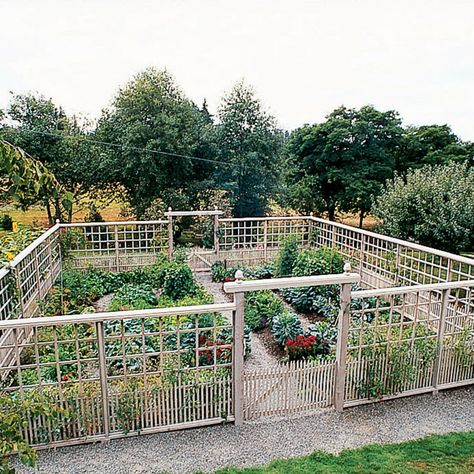 Pleasure Garden, Deer Resistant Garden, Fenced Vegetable Garden, Garden Fence Ideas, Diy Garden Fence, Deer Fence, Fence Garden, Potager Garden, Plants Growing