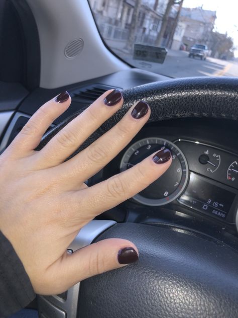 Fall nails. A beautiful maroonish- brown color. DND 428 “Rosewood” Dnd Walnut Brown, Rosewood Nails, Dnd 453 Plum Wine, Rosewood Gel Nail Polish, Maroon Nail Art, Lilac Nails Design, Dnd Nail Polish, J5-7 Rosewood Usa Pottery, Interior Design Color Schemes