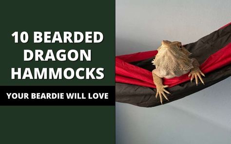 10 Bearded Dragon Hammocks (Your Beardie Will Love) - Reptile Maniac Bearded Dragon Blanket, Bearded Dragon Accessories Diy, Crochet Reptile Hammock, Crochet Bearded Dragon Hammock, Diy Bearded Dragon Hammock, Homemade Hammock, Bearded Dragon Hammock, Bearded Dragon Diy, Crochet Hammock