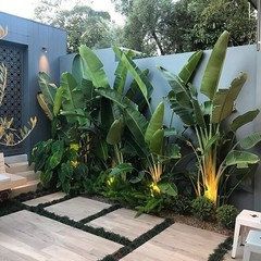 Help! Tropical Plants - Narrow Garden Bed in Melbourne | Houzz AU Narrow Garden, Tropical Garden Design, Tropical Backyard, Garden Types, Outdoor Gardens Design, Backyard Garden Design, Front Yard Garden, Natural Garden, Tropical Landscaping