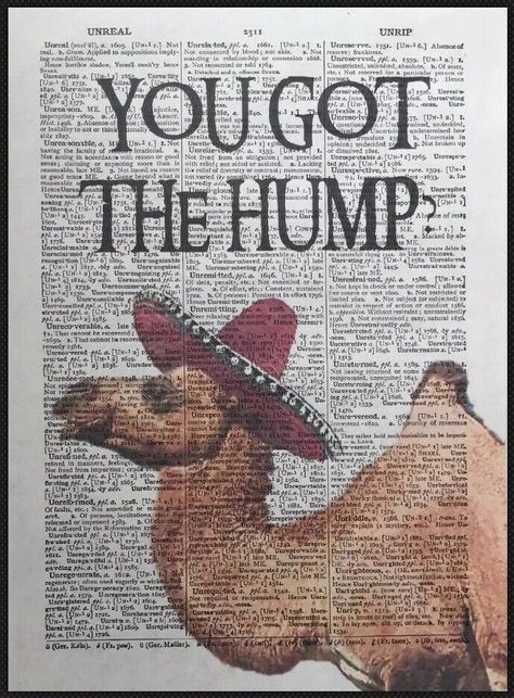 Camel Pun Vintage Dictionary Page Print Picture Funny Animal Quote Got The Hump | eBay Llama Puns, Dictionary Prints, Dictionary Page, Funny Animal Quotes, Vintage Dictionary, Dictionary Art, Inspirational Prints, Printed Pages, Funny Puns