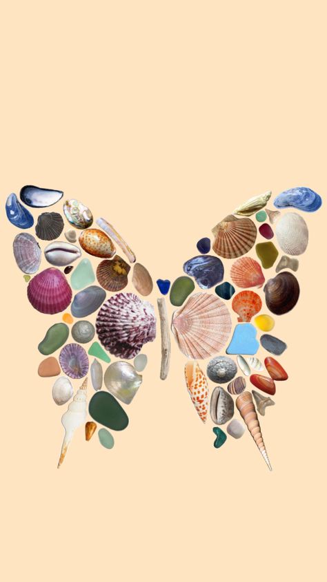 #butterfly #shell #seaglass #art #collection Seaglass Art, Butterfly Wing, Butterfly Wings, Connect With People, Your Aesthetic, Creative Energy, Sea Glass, Making Out, Art Collection