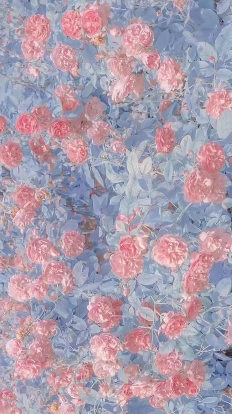 Blue Pink Wallpaper Aesthetic, Pink And Light Blue Aesthetic, Pink And Blue Wallpaper Aesthetic, Blue And Pink Wallpaper, Pink Flower Aesthetic, Pink And Blue Aesthetic, Pink Blue Aesthetic, Tartan Wallpaper, Baby Blue Wallpaper