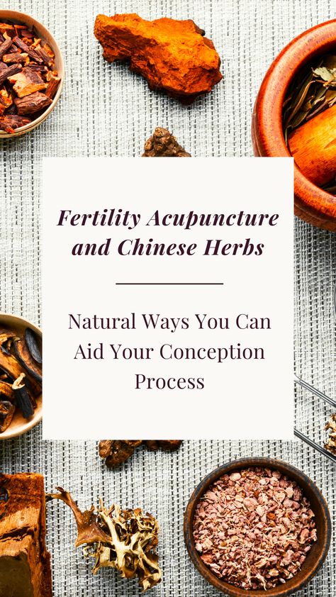 We reached out to Mike Berkley in NYC to tell us more about Chinese herbs for fertility and IVF acupuncture. he explains some of the science of fertility and how it naturally occurs. An advocate of emulating this natural process as closely as possible, he’ll introduce us to why using herbs and acupuncture can be beneficial for fertility. #fertility #acupuncture #chinesemedicine #fertilityacupuncture Chinese Herbs For Fertility, Acupuncture For Fertility, Chinese Fertility, Male Fertility Diet, Fertility Acupuncture, Herbs For Fertility, Acupuncture Fertility, Fertility Support, Fertility Supplements