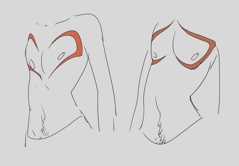 Top Surgery Scars, Heart Shaped Top, Top Surgery, Body Reference Drawing, Concept Art Drawing, Wow Art, Art Poses, Art Tutorials Drawing, Sketchbook Art Inspiration