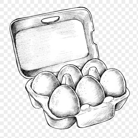 Egg Drawing Art, Egg Sketch, Egg Drawing, Egg Png, Draw A Box, Composition Drawing, Carton Design, White Egg, Basket Drawing