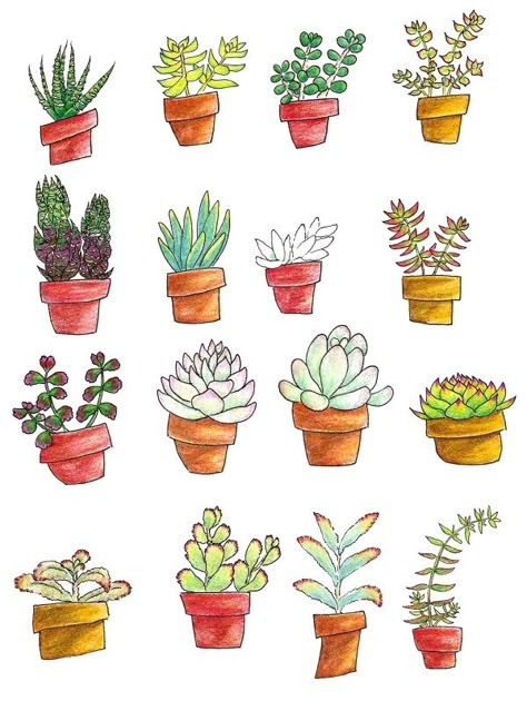 Succulent Drawing, Plant Doodles, Succulents Drawing, Plant Doodle, Purple Succulents, Succulent Art, Colored Pencil Drawings, Types Of Succulents, Drawing Ideas Creative