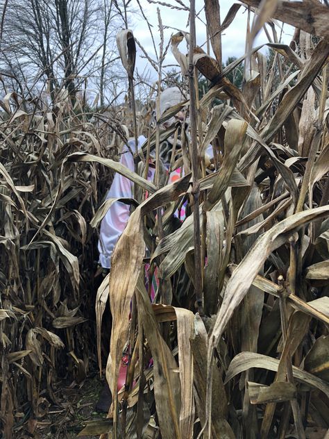 Clown, creepy, corn stalks, Halloween, corn maze, corn maze ideas, stalkers, Halloween decorations, scary Haunted Corn Maze Ideas, Scary Corn Maze, Corn Maze Ideas, Halloween Decorations Scary, Maze Ideas, Clown Creepy, Scary Maze, Halloween Library, Haunted Corn Maze