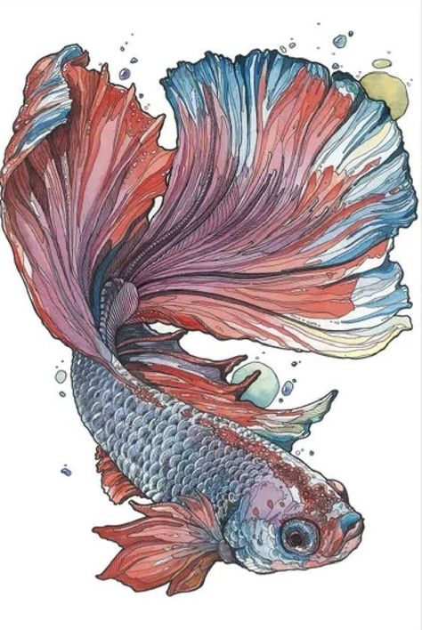 Beta Fish Drawing, Fish Sketch, Micron Pens, Lotus Flower Art, Jellyfish Art, Sea Life Art, Beta Fish, Watercolor Fish, Fish Illustration