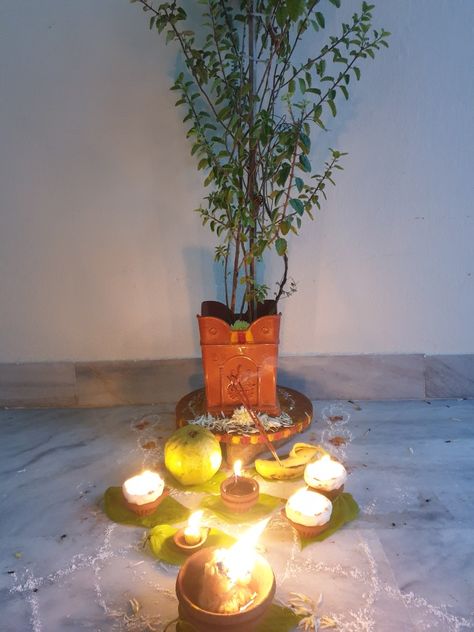 Tulasi Pooja, Hindu Dharma, My Photo Gallery, Photo Gallery, Photo Galleries, Quick Saves