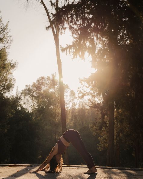 among the trees each breath feels deeper, each pose more connected, creating a perfect harmony between body, mind, and the natural world. . Photo shoot with the beautiful @magali.yoga #yoga #forestyoga #yogaphotography Yoga Fall Aesthetic, Yoga Poses In Nature, Writing In Nature, Yoga In Nature, Yoga Shoot, Nature Yoga, Yoga Nature, Dump Ideas, Nature Photoshoot