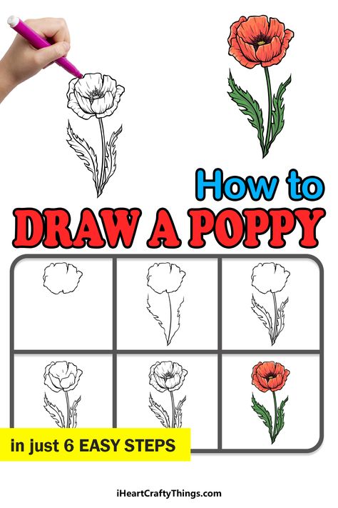 How To Draw Poppies Easy, Flowers Drawings Simple, How To Draw Poppy, Step By Step Poppy Drawing, Draw Poppy Flower, How To Draw A Poppy Flower Step By Step, Draw A Poppy Step By Step, How To Draw A Poppy Flower, Poppy Flower Step By Step