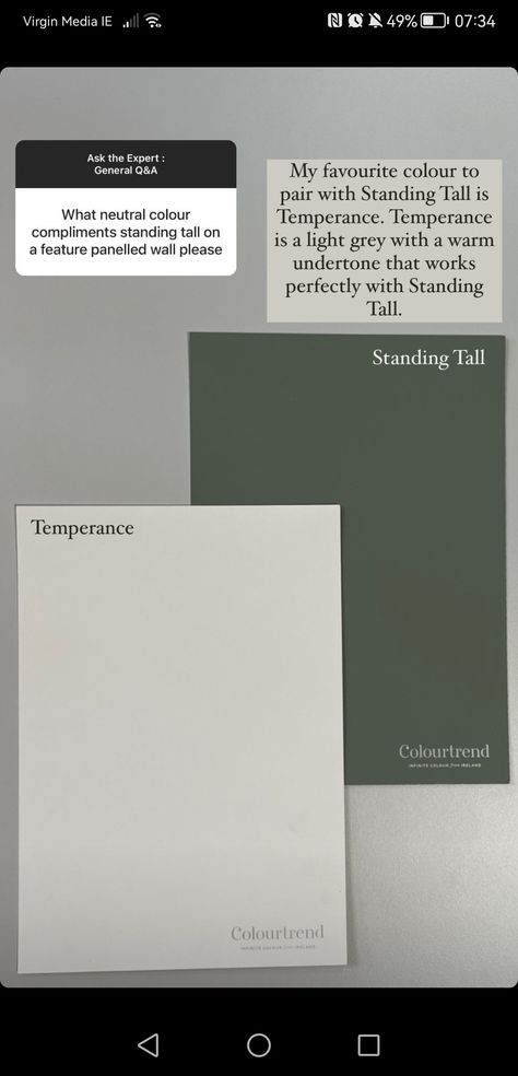 Colourtrend Paint Standing Tall, Standing Tall Colour Trend, Colourtrend Paint, Colour Trend, Function Room, Stand Tall, Color Trends, Home Bedroom, Neutral Colors