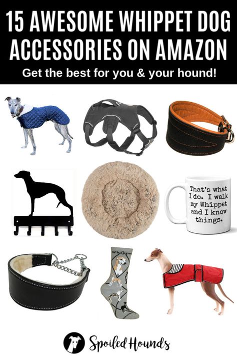 Awesome whippet dog accessories on Amazon. Get the best collars, harness, coats, clothes, and more fun products for you and your whippet. #dogs #doglovers #whippet #amazon #doglovergifts #dogsupplies #dogproducts #amazonfinds #dogcollar #dogclothes #dogcoats #dogharness #pets #whippets Whippet Clothes, Dog Leash Hanger, Round Dog Bed, Fun Products, Whippet Dog, Dog Winter Coat, Dog List, Dog Collar Tags, Food Dog