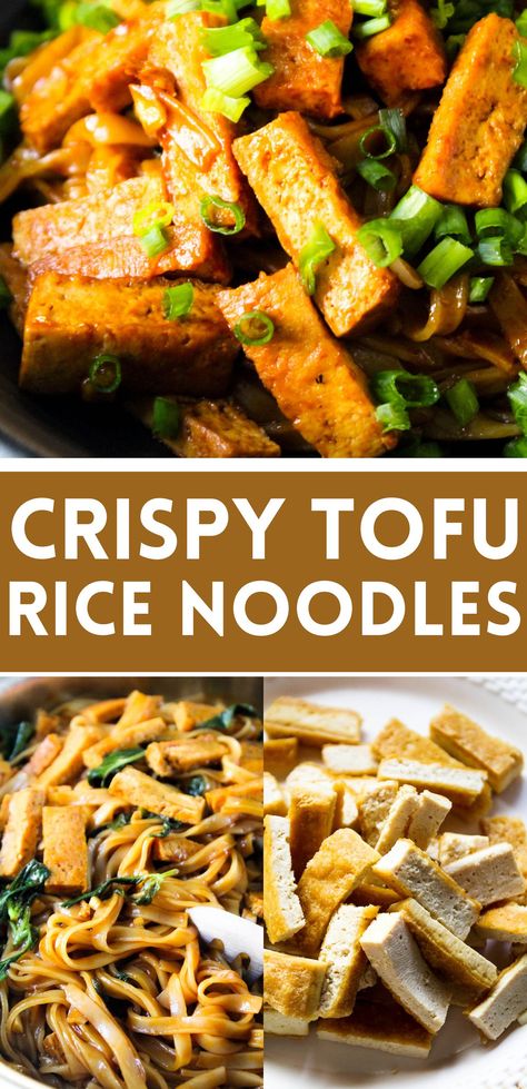 Easy, delicious and quick basil tofu rice noodles. Vegan, gluten free and so simple to make, these rice noodles are coated in the best ever asian style sweet and spicy sauce tossed in lots of fresh basil, garlic & crispy strips of pan fried tofu. #vegan #comforting #rice #noodles #recipe #quick #easy #delicious #tofu #fried #asian #chinese #comfort #dinner #lunch #basil #garlic #drunken #pad #kee #mao #gluten #free #healthy Rice Noodles With Tofu, Tofu With Rice Noodles, Rice Noodle Tofu Recipes, Rice Noodle And Tofu Recipes, Tofu And Rice Noodles, Tofu With Noodles, Tofu Noodles Recipes, Tofu Rice Noodles, Tofu And Noodles Recipes