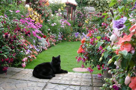 Soft Landscaping, Grow Garden, Abandoned Vehicles, Derelict Buildings, Uk Garden, Cottage Gardens, A Black Cat, Magical Garden, French Cottage