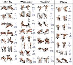 A Simple and Effective Muscle Building Schedule – Fitness Workouts & Exercises A Week Workout Plan, Workout At Gym For Women, Full Body Workout At Gym, Tricep Workout Gym, Gym Workout Schedule, Gym Schedule, Gym Pic, Chest Workout Routine, Pic Video