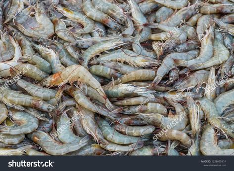 Raw Uncooked Shrimp in super market #Ad , #Paid, #Uncooked#Raw#Shrimp#market Raw Shrimp, Super Market, Graphic Designer Portfolio, Design Portfolio, Graphics Design, My Images, Portfolio, Stock Photos, Marketing