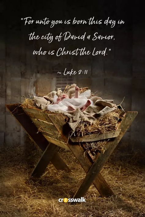 Top 15 Christmas Bible Verses to Share in 2021 - Christmas and Advent Christmas Quotes Jesus, Swaddling Clothes, Luke 2 11, Christmas Verses, The Life Of Jesus, Christmas Scripture, Christmas Bible Verses, Wonderful Counselor, Christmas Bible