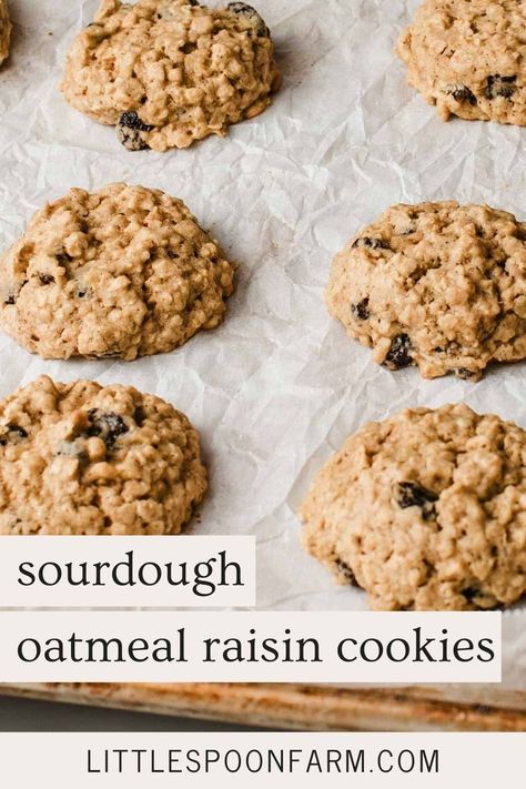 Sourdough oatmeal cookies are soft, chewy, and loaded with juicy raisins and cinnamon spice. The dough can be baked right away or chilled in the fridge for fermented sourdough cookies. Sourdough Oatmeal, Cookie Recipes Oatmeal Raisin, Sourdough Starter Discard Recipe, Discard Recipes, Sourdough Starter Recipe, Sourdough Discard, Sourdough Baking, Oatmeal Raisin Cookies, Raisin Cookies