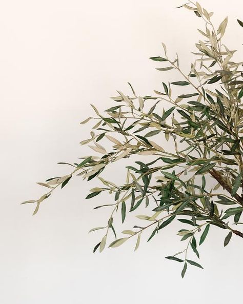 Faux Olive Tree, Mcgee & Co, Indoor Air Pollution, Large Planters, Olive Leaf, Real Plants, Wire Frame, Olive Tree, Pop Up Shops