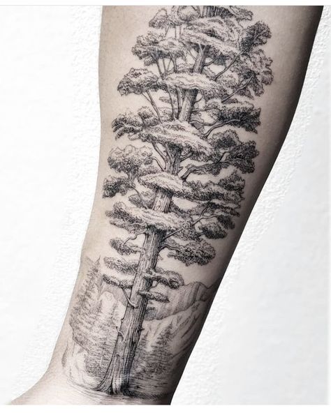 maybe a sequoia? Giant Sequoia Tree Tattoo, Live Oak Tattoo, Sequoia Tattoo, Sequoia Tree Tattoo, Tattoos For Nature Lovers, Giant Sequoia Trees, Giant Sequoia, Tree Tattoos, Sequoia Tree