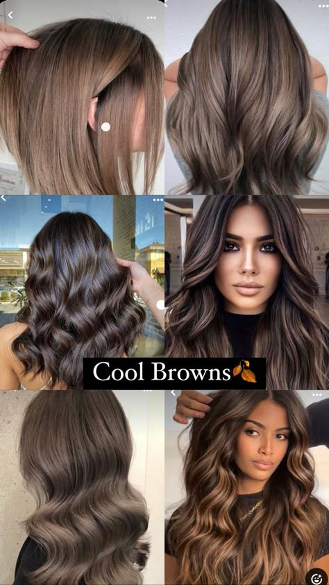 Chocolate Brunette Hair Color, Brown Hair Colours, Cool Brown Hair, Brown Hair Color Shades, Rambut Brunette, Brown Hair Shades, Cool Brown, Brown Hair Looks, 2023 Hair