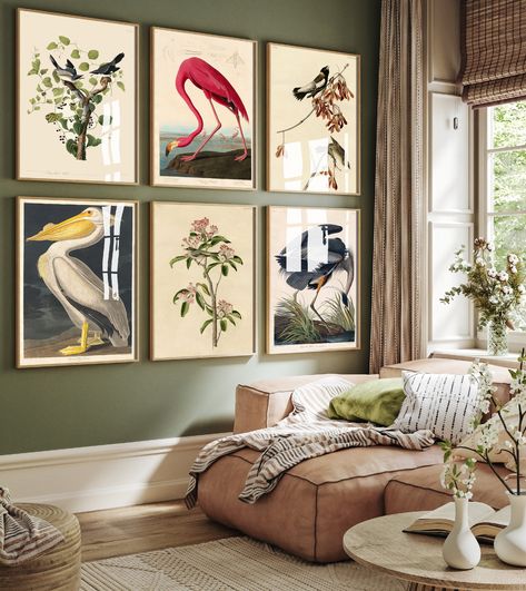 "* THIS COLLECTION: Six beautiful illustrations featuring John James Audubon posters.   Or view our full range of iconic paintings here: https://etsy.me/2G7OK0A * PLEASE NOTE: All our prints come UNFRAMED and any frame in the images above is for display purposes only so you can get a feel for how it might look on your wall. * CUSTOM REQUESTS: We can often customise our designs. Contact us any time to discuss options. * PAPER: All our prints come on the highest quality art papers and are produced with a full range of 12 pigment inks so they will maintain their vibrant colours for decades to come. A quick explanation of our different paper stocks will follow: Glossy finishes are like what you would get with a photograph. Very reflective and very bright colours. Lustre is a beautiful finish w Bird Illustration Print, Audubon Prints, John Gould, Vintage Bird Illustration, Prints Vintage, Art Tropical, John James Audubon, Vintage Bird, Classic Paintings