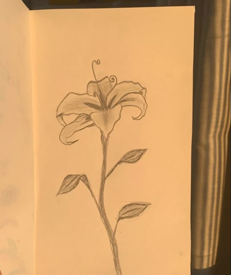 the flower from the movie rapunzel. a pencil sketch in a white sketchbook that appears yellowish because of the sunlight:) 6 petals, three leaves!! Arte Do Ukulele, Rapunzel Drawing, Flower Art Drawing, Meaningful Drawings, Flower Sketches, Easy Doodles Drawings, Easy Drawings Sketches, Arte Sketchbook, Disney S