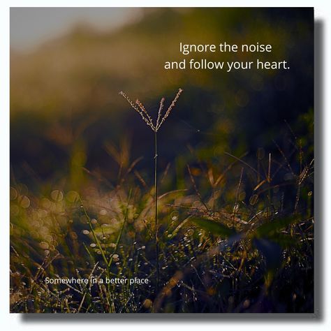 Ignore the noise and follow your heart. Follow Your Heart, Follow You, Quotes