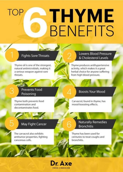 Thyme boosts your mood Benefits Of Thyme, Thyme Benefits, Thyme Tea, Excellent Health, Tomato Nutrition, Calendula Benefits, Thyme Oil, Fruit Health Benefits, Matcha Benefits