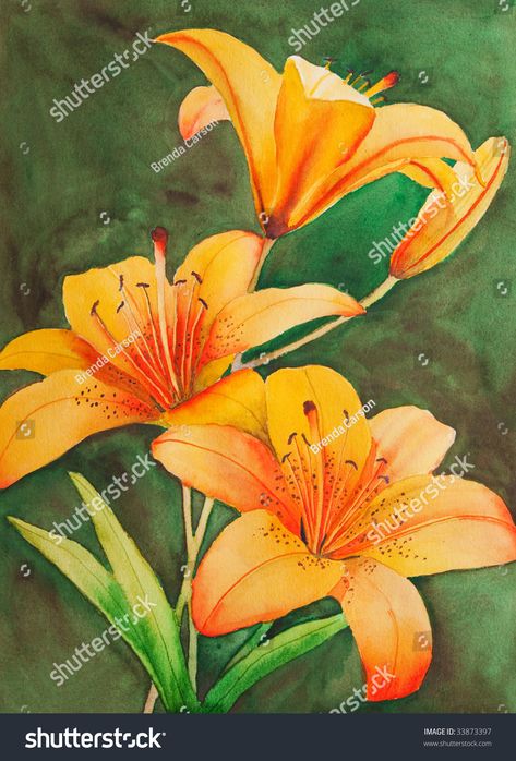 Tiger Lilies, Watercolor Tiger, Arte Peculiar, Lily Painting, Contemporary Abstract Art, Free Picture, Watercolor Pencils, Tiger Lily, Arte Floral