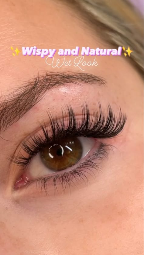 Tech Makeup, Wispy Set, Natural Fake Eyelashes, Lashes Tutorial, Lashes Fake Eyelashes, Wispy Eyelashes, Eyelash Tips, Lash Extensions Makeup, Wet Set