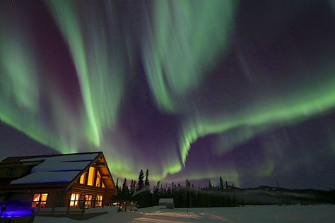 Northern Lights Canada, Travel In Canada, Travel To Canada, Whitehorse Yukon, Yukon Canada, Broken Dreams, Adventure Bucket List, Romantic Vacations, Alaska Travel