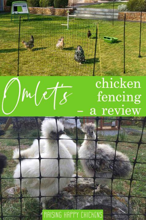 Omlet's fencing pin Chicken Wire Fence, Chicken Fence, Mobile Chicken Coop, Backyard Coop, Cozy Garden, Diy Garden Fence, Chicken Pen, Brick Fence, Raising Backyard Chickens