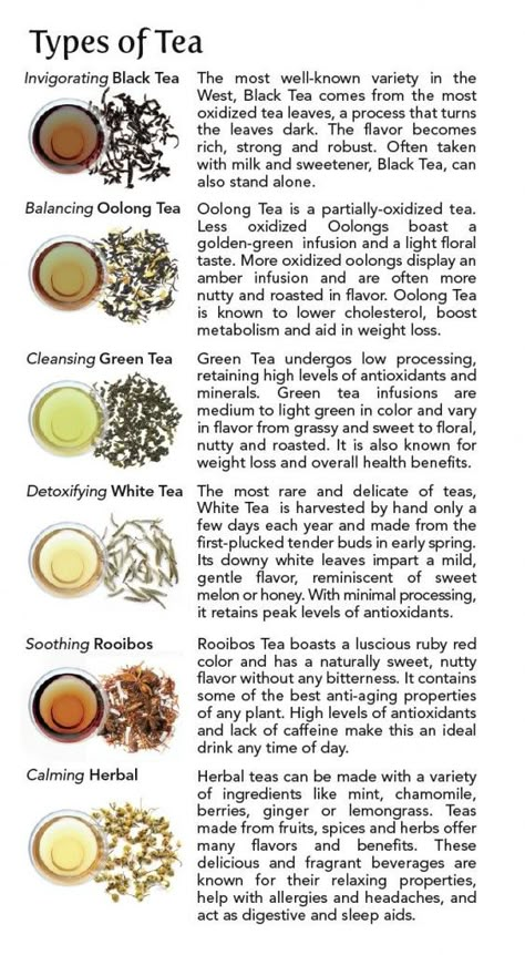 types of tea they offer Types Of Tea For Tea Party, Natural Tea Recipes, Types Of Teas And Their Benefits, What To Add To Tea, Tea Schedule, Tea Business Ideas, Herbal Tea Business, Tea Combinations, Tea For Beginners