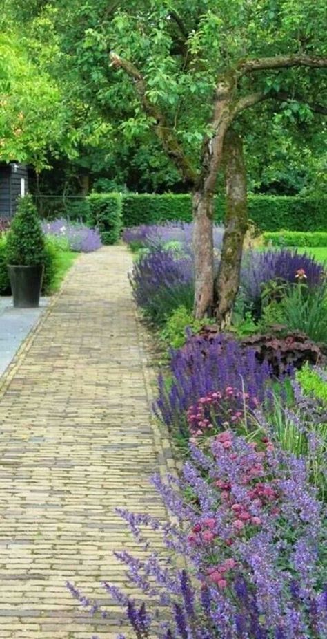 Oh sniffy heaven!  Caution: You may become so relaxed you do not want to move.... in this Lavendar garden Have Inspiration, The Secret Garden, Garden Pathway, Garden Borders, Gorgeous Gardens, Garden Cottage, Garden Spaces, Front Garden, Garden Paths