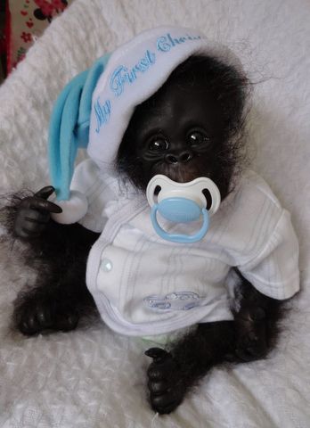 OOAK Reborn Monkey Orangutan Baby Boy Art Doll Gorilla Original Newborn | eBay Reborn Monkey, Baby Boy Art, Baby Gorillas, Cute Monkey, Baby Monkey, Cute Animal Pictures, Sweet Animals, Boy Art