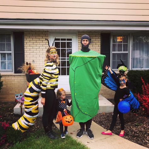 Family costume- Caterpillar, Chrysalis, Monarch butterfly’s Insect Family Halloween Costumes, Monarch Caterpillar Costume, Bug Family Halloween Costumes, Insect Family Costumes, Catapiller Costume, Bug Family Costume, Family Bug Costumes, Butterfly Family Costume, Garden Family Costume