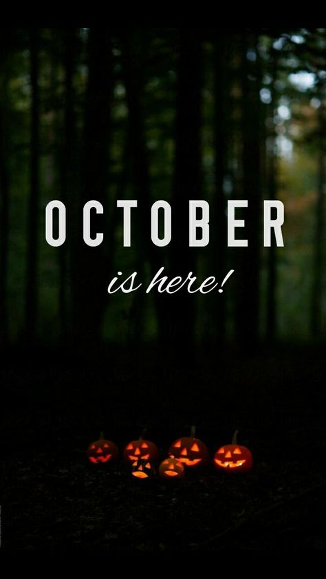 Fall Astethic, Wallpaper October, October Is Here, World Where There Are Octobers, October Country, October Wallpaper, 1 October, Halloween Horror Movies, Hello October