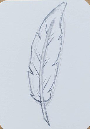 How To Draw A Feather Easy, Magic Drawing Ideas Easy, How To Draw A Feather Step By Step Easy, Drawing Feathers Step By Step, Feather Drawing Reference, Bird Feathers Drawing, How To Draw Feathers Step By Step, How To Draw A Feather, Feather Drawing Pencil