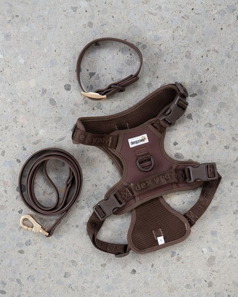 Harnesses with reflective features for improved visibility during evening walks. Front Clip Dog Harness, Dog Harness Aesthetic, Boy Dog Accessories, Dog Walking Accessories, Puppy Room, Dog Accesories, Dog Mommy, Puppy Accessories, Dog Essentials