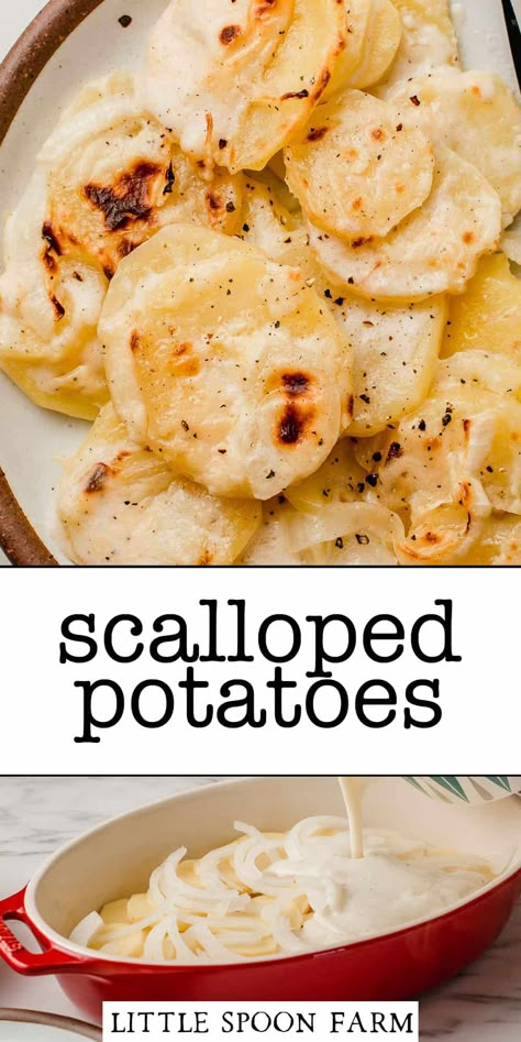 Little Spoon Farm, Healthy Soup Recipes Clean Eating, Homemade Scalloped Potatoes, Easy Scalloped Potatoes Recipe, Best Scalloped Potatoes, Creamy Scalloped Potatoes, Scalloped Potatoes Easy, Scalloped Potatoes And Ham, Potatoes And Onions