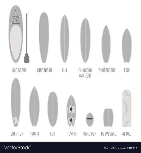 Surfer Style Outfits, Fish Surfboard, Best Surfboards, Longboard Design, Wooden Surfboard, Surfboard Shapes, Fish Silhouette, Surfboard Fins, Vector Infographic