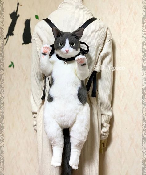 "Cat-Maniac" Designer From Japan Creates Super Realistic Cat Backpack - I Can Has Cheezburger? Cat Handbags, Animal Backpacks, Metal Shirts, Cat Backpack, Fur Bag, Cat Fashion, Cat Bag, Cute Plush, Japanese Artists