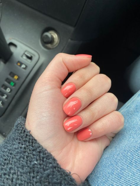 Spring Colours Nails, Salmon Color Nails Coral, Salmon Colored Nails, Peach Coloured Nails, Peach Coral Nails, Bright Nails Short, Coral Dip Powder Nails, Salmon Nails Coral, Spring Colour Nails